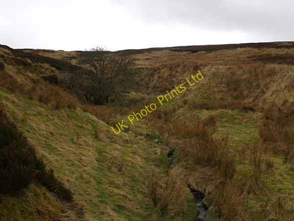 Photo 6"x4" Long Hangman Burn Nether Shiels\/NT4146 c2008