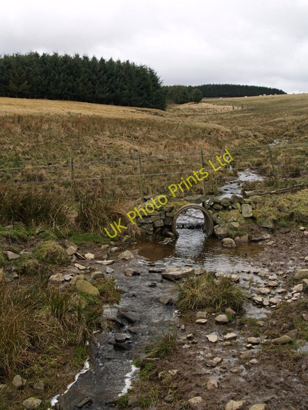 Photo 6"x4" Thrashie Burn Nether Shiels\/NT4146 c2008