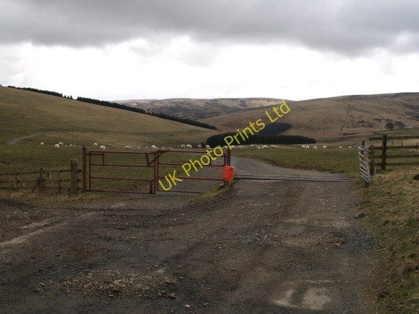 Photo 6"x4" End of the road, The Glen Fountainhall\/NT4249 c2008