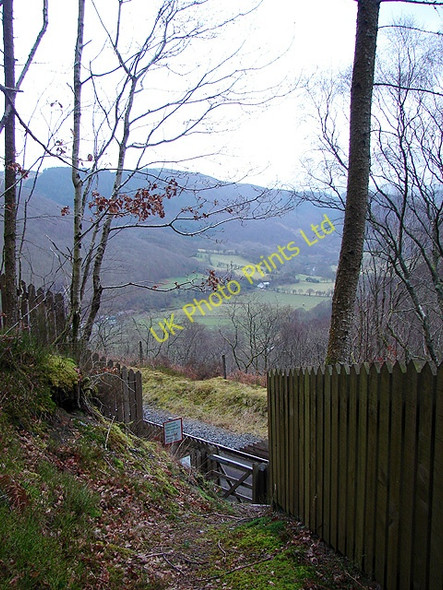 Photo 6"x4" Vale of Rheidol Railway foot crossing Mynydd Bach\/SN7176 c2008