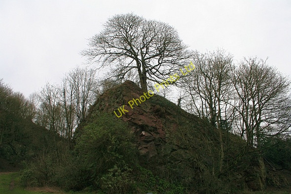 Photo 6"x4" Granite Spur, Wyche Upper Quarry Upper Colwall c2008