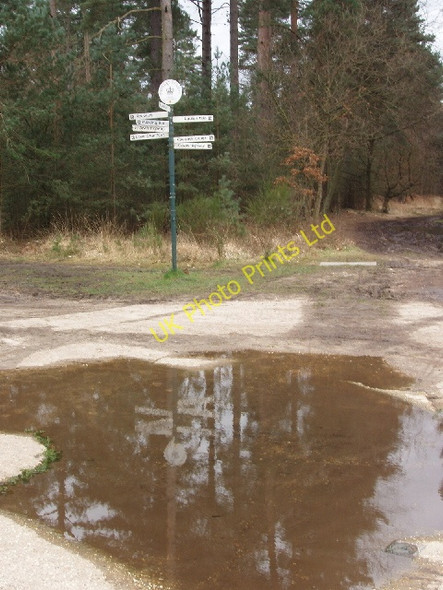 Photo 6"x4" Signpost, Upper Star Post, Swinley Forest Birch Hill\/SU8766 c2008