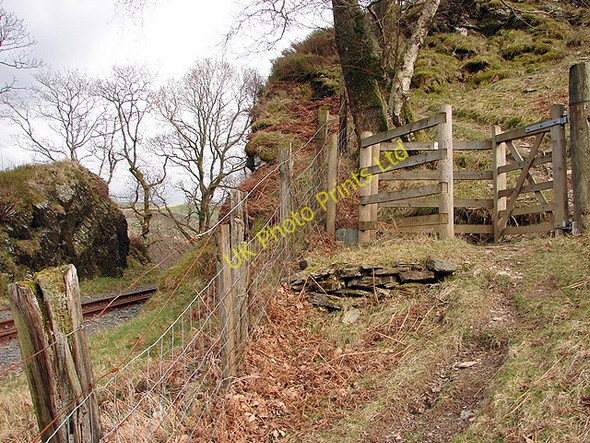 Photo 6"x4" Vale of Rheidol Railway at Derwen (5) Devil's Bridge\/Pontarfynach c2008