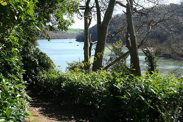 Photo 6"x4" Kingswear: the Dart from Greenway Dittisham c2008