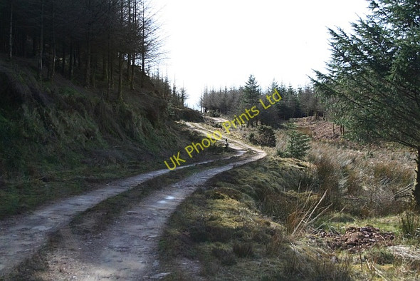 Photo 6"x4" Kintyre Forestry Road (2) Cnoc a' Mhinisteir c2008