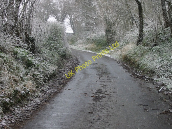 Photo 6"x4" A dusting of snow on the trees Palmstead c2008