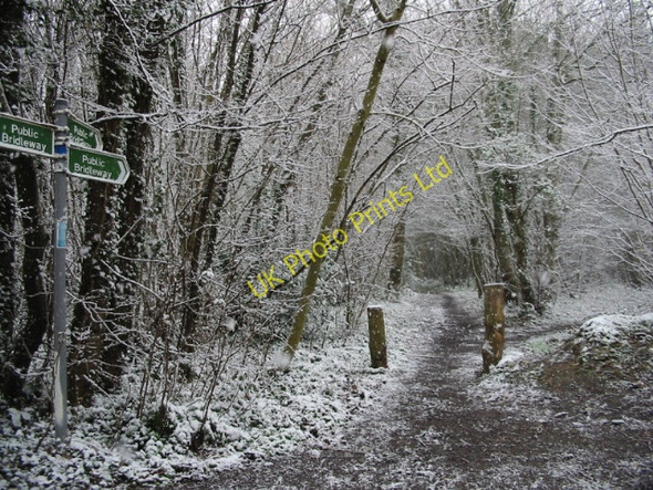 Photo 6"x4" Bridleways in the snow, Covert Wood Marley\/TR1850 c2008