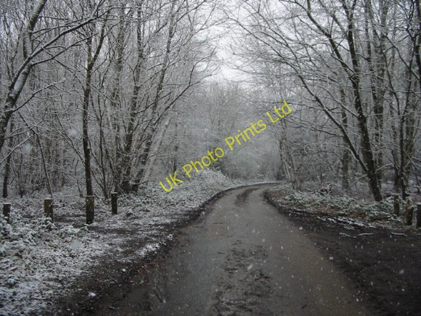 Photo 6"x4" Road in Covert Wood in the snow Marley\/TR1850 c2008