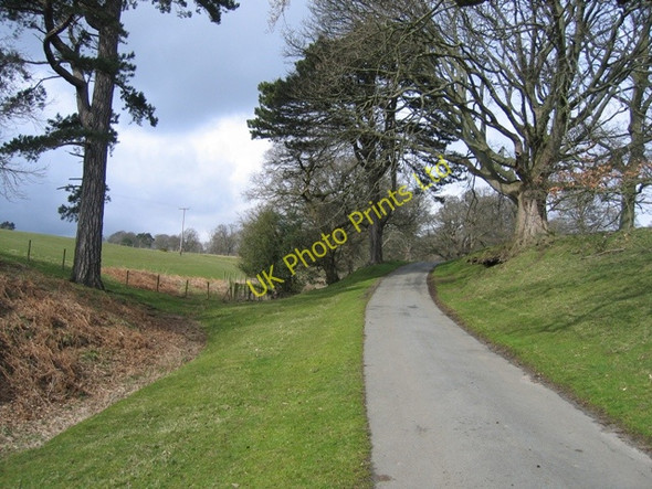 Photo 6"x4" The main drive to Gwysaney Hall Cefn-eurgain c2008