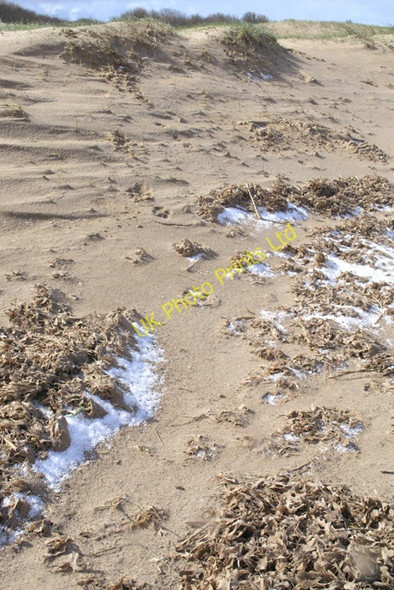 Photo 6"x4" Hail on the beach North End\/TF4987 c2008