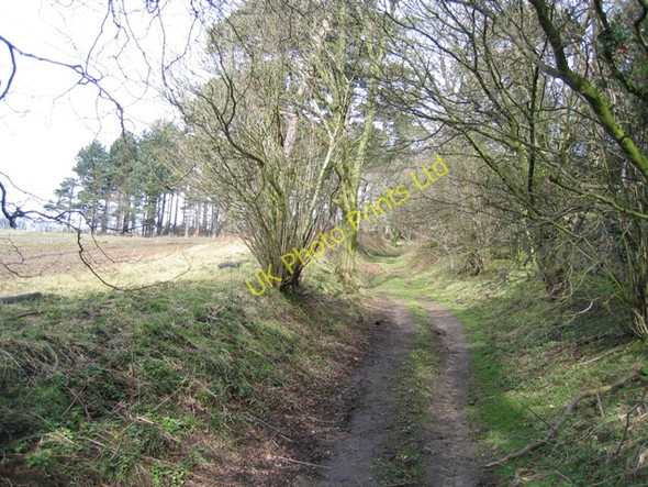 Photo 6"x4" Hollow way at Gwysaney Cefn-eurgain c2008