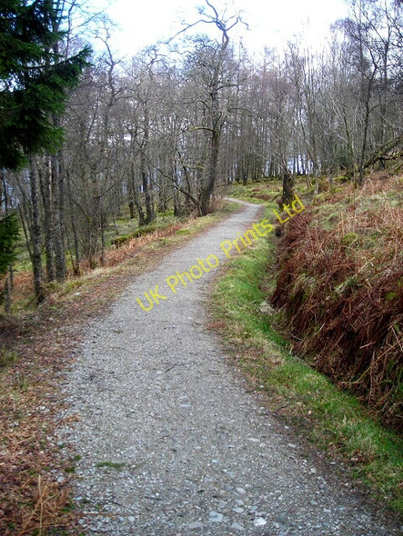 Photo 6"x4" Cycleway beside Loch Venachar Brig o' Turk c2008