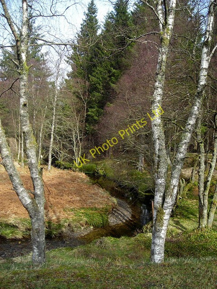 Photo 6"x4" Allt a' Gham-ruidhe Brig o' Turk c2008