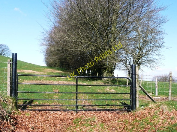 Photo 6"x4" Tempting gate Bedwas c2008