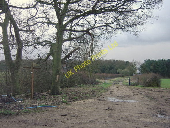 Photo 6"x4" Bridleway to West Leake Gotham\/SK5330 c2008