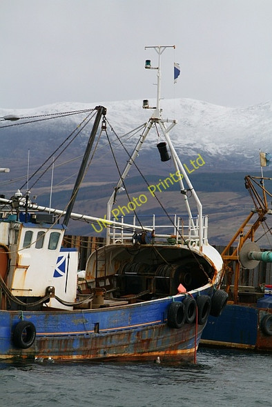 Photo 6"x4" Fishing Boat at Carradale Harbour (2) Carradale c2008
