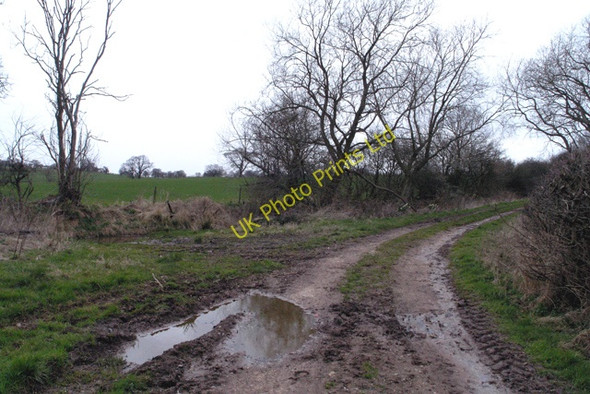 Photo 6"x4" Track near Newton Newton\/SK0325 c2008