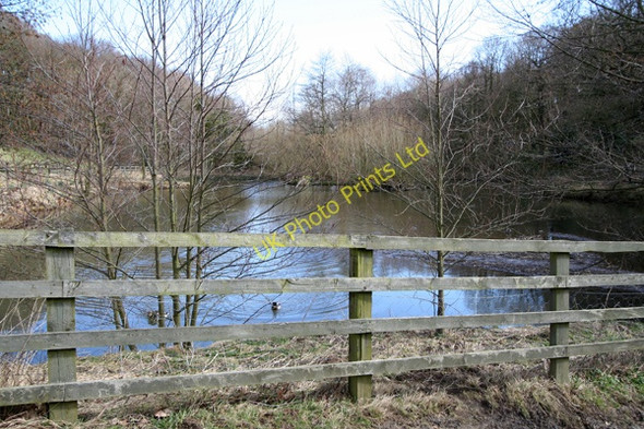Photo 6"x4" Lake on edge of Stony Cliffe Wood Horbury c2008