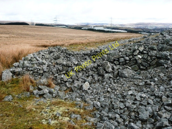 Photo 6"x4" Firmer ground above Beaufort industrial estate Rassau c2008