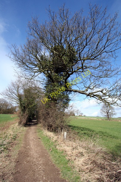 Photo 6"x4" Track towards Middlestown Overton\/SE2616 c2008