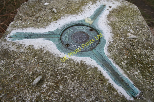 Photo 6"x4" Top of Triangulation Pillar Overton\/SE2616 c2008