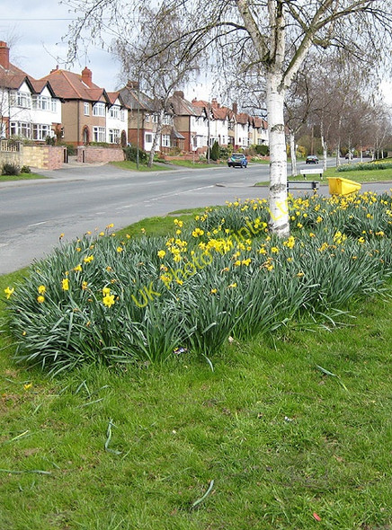 Photo 6"x4" Ledbury Road, Tupsley Hereford c2008