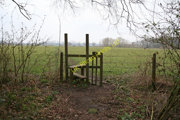 Photo 6"x4" Stile on the edge of Stub Wood Acaster Malbis c2008