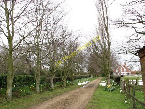 Photo 6"x4" Driveway to Blacksmiths Farm Ashmanhaugh c2008