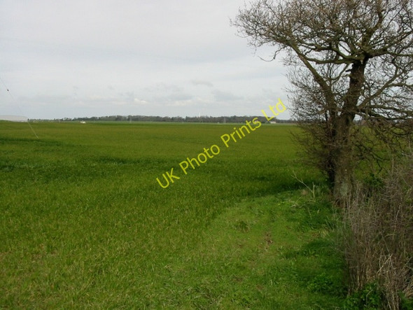 Photo 6"x4" View across the fields from Alland Grange Lane Way\/TR3265 c2008