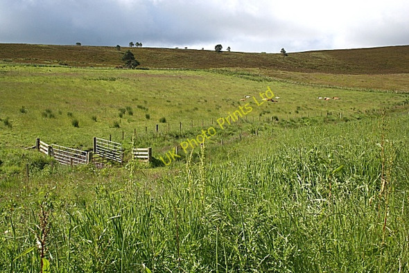Photo 6"x4" Burn of Slogan Drummuir\/NJ3844 c2007