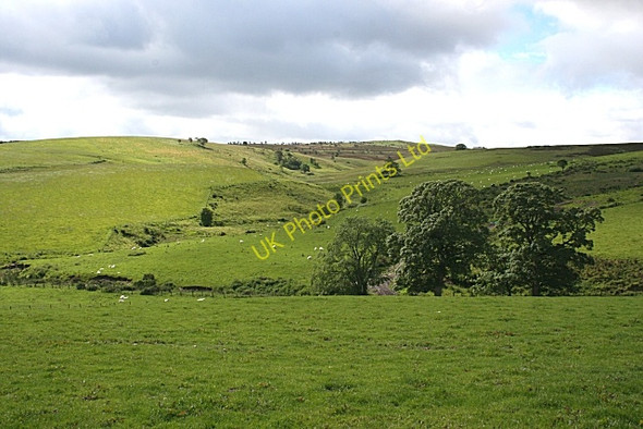 Photo 6"x4" Burn of Sheals Drummuir\/NJ3844 c2007