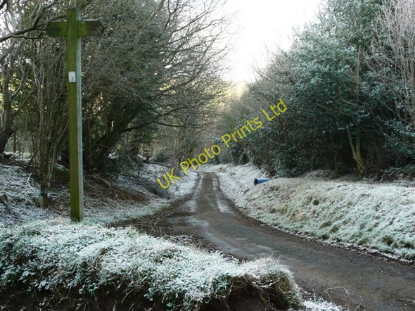 Photo 6"x4" Drove road junction Craswall\/SO2835 c2008