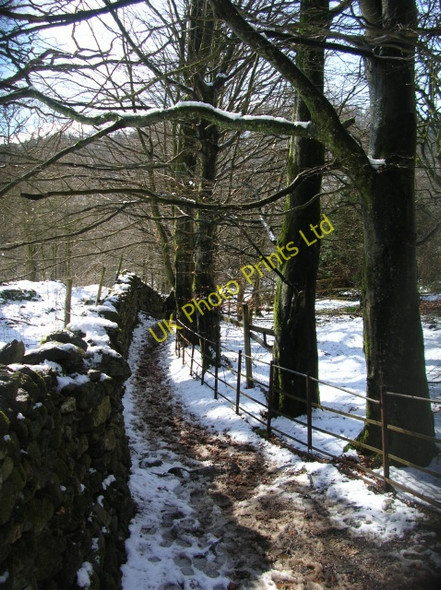 Photo 6"x4" Footpath from Neaum Crag Skelwith Bridge c2008