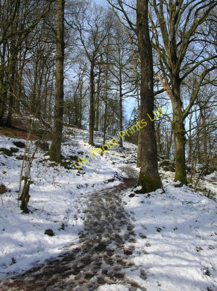 Photo 6"x4" Footpath along the Brathay Skelwith Bridge c2008