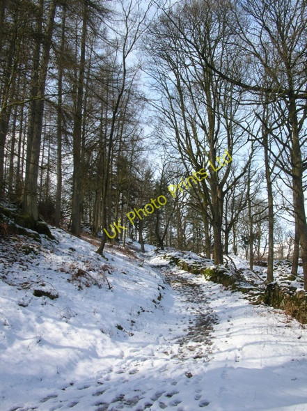 Photo 6"x4" Track to Little Langdale Little Langdale c2008