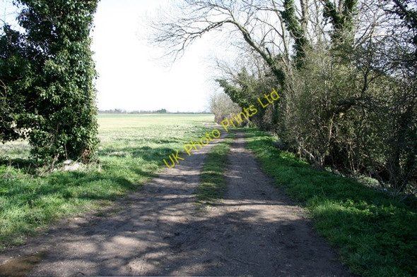 Photo 6"x4" Field track from Hauxton to Shelford Hauxton c2008
