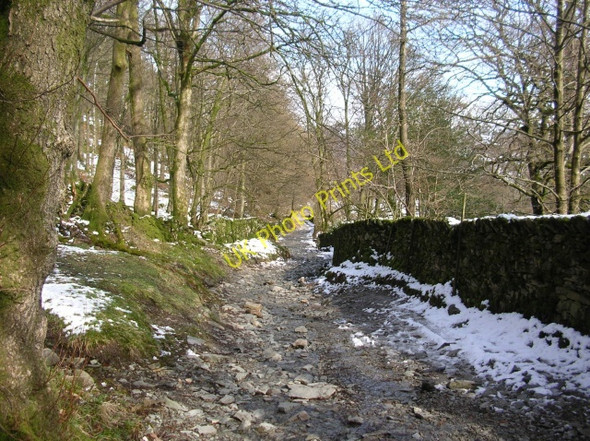 Photo 6"x4" Down to Elterwater Elterwater c2008