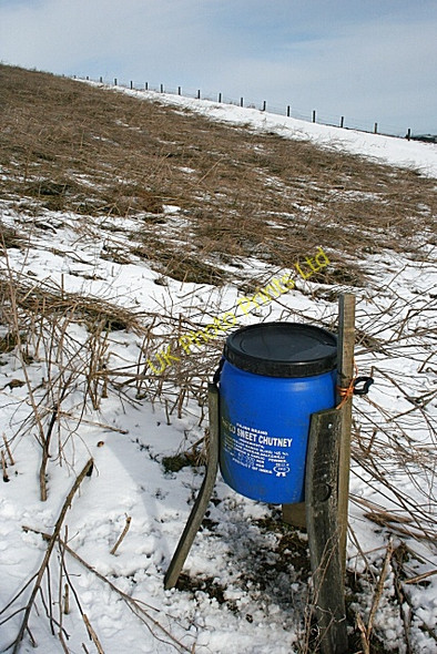 Photo 6"x4" Sweet Chutney? Fisherford c2008