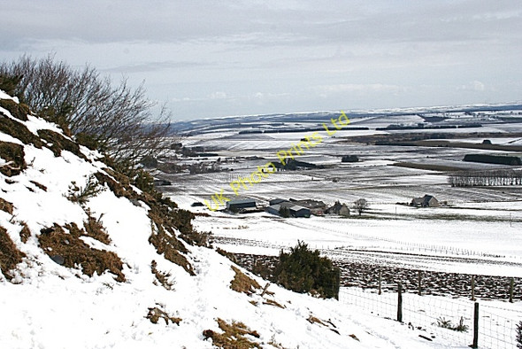 Photo 6"x4" Goukswell from the Hill of Tillymorgan Fisherford c2008