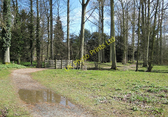 Photo 6"x4" Footbridge over a brook on a lakeside path Eastnor c2008