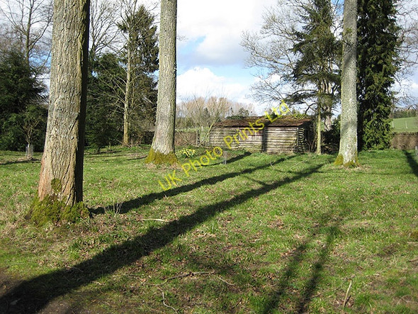 Photo 6"x4" Hut by a lakeside path Eastnor c2008