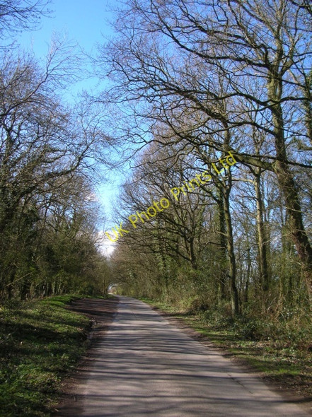 Photo 6"x4" Town End Plantation High Catton c2008
