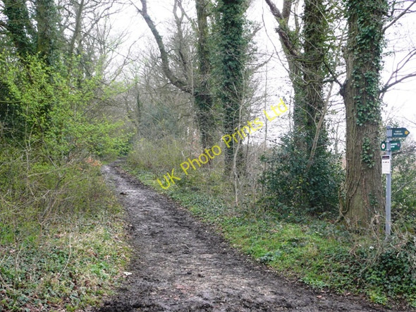 Photo 6"x4" Restricted byway to Upper Basildon New Town\/SU6075 c2008