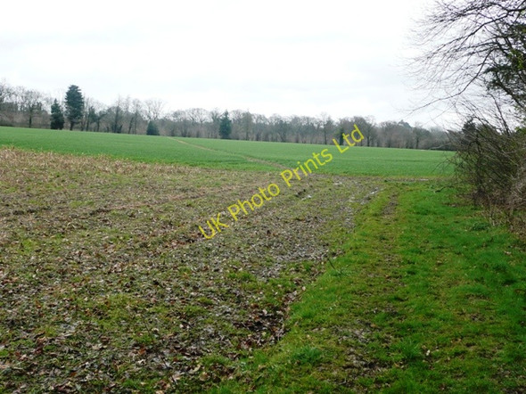 Photo 6"x4" Footpath to Upper Basildon New Town\/SU6075 c2008
