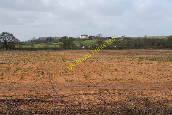 Photo 6"x4" Sprayed Field Chaceley c2008