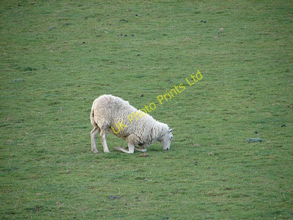 Photo 6"x4" Getting down to it Maes-bangor c2008