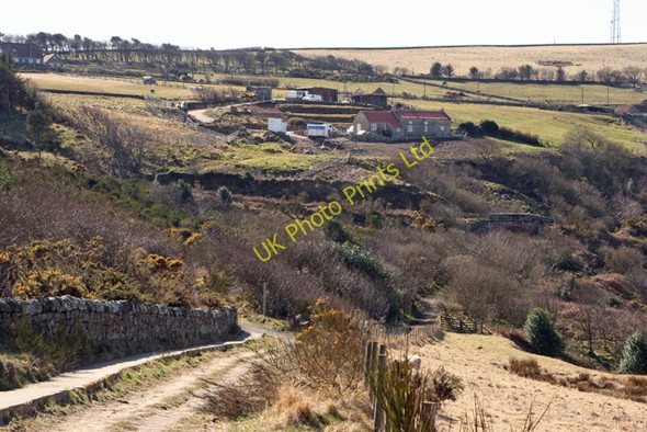 Photo 6"x4" The Cleveland Way above Ravenscar Ravenscar c2008