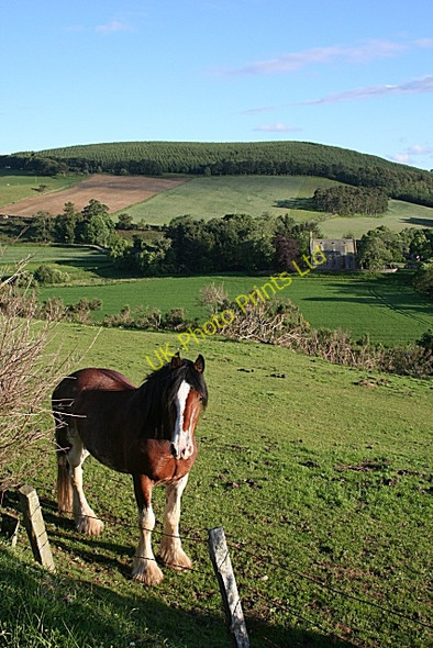 Photo 6"x4" Inverkeithny Kirk Inverkeithny c2007