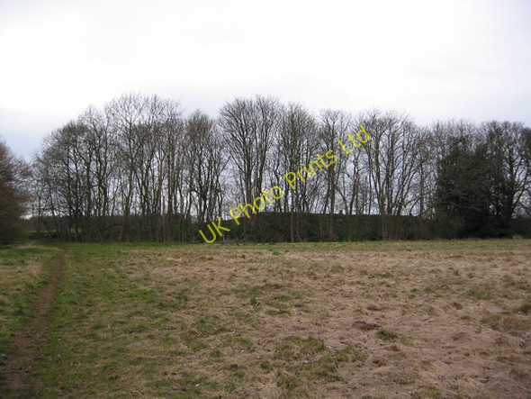 Photo 6"x4" The Ridge Potterton\/SE4038 c2008