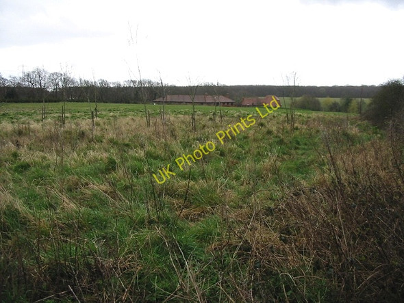 Photo 6"x4" View across the field to the roof of Tyler Court Tyler Hill c2008
